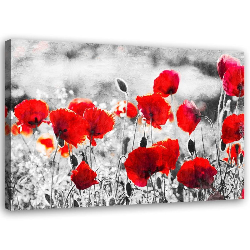 ModernMoments Leinwandbild Mohnblumen 2 | Wayfair.de